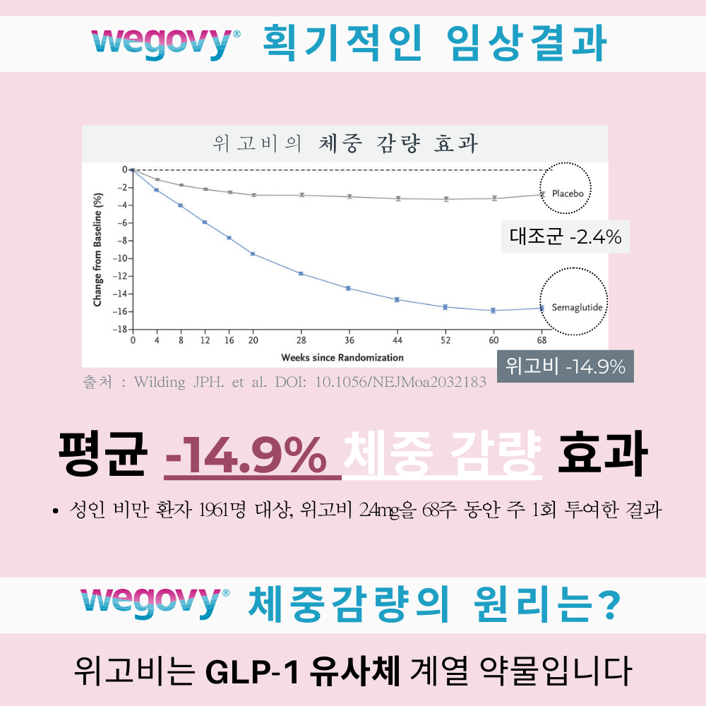 랜딩이미지